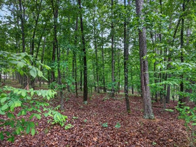 Land for sale in Ark