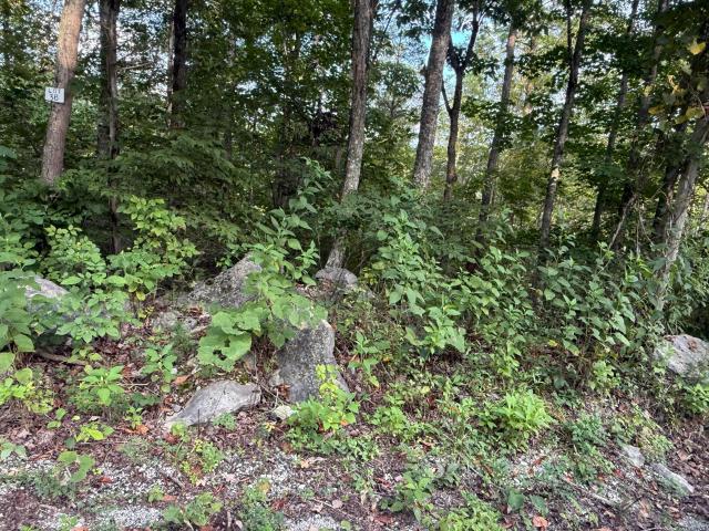 Land for sale in Somerset, Kentucky