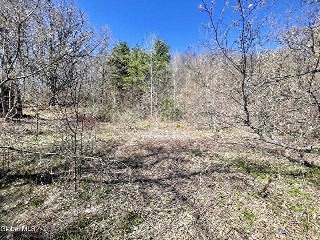 Land for sale in Essex, New York
