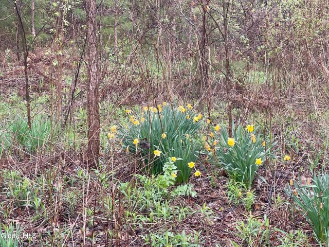 Land for sale in Essex, New York