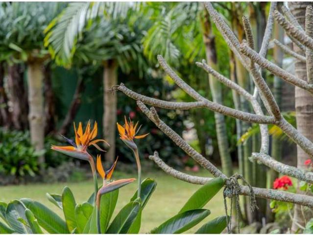 House for sale in Karetu, Northland