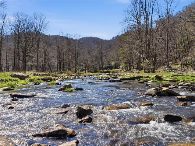 Townhouse for sale in Avery, North Carolina