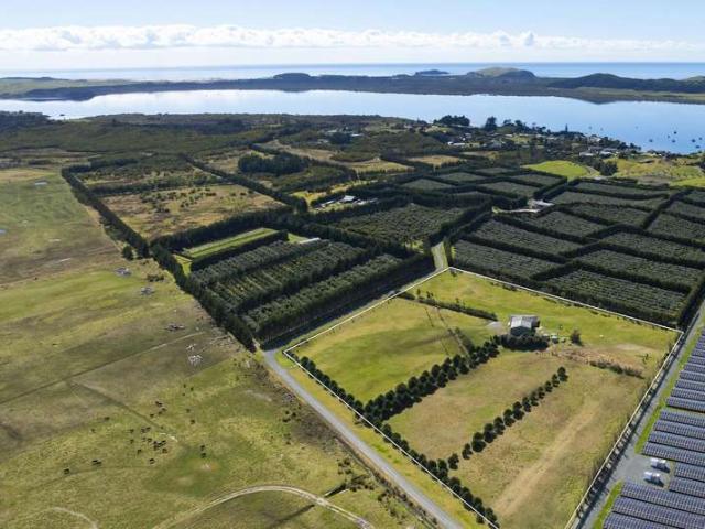 Property for sale in Fairburn, Northland