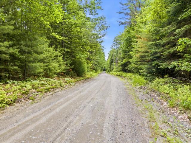 Land for sale in New Hampshire
