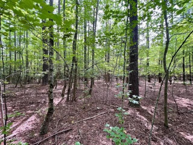 Land for sale in Macon, North Carolina