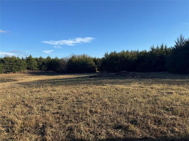 Land for sale in Lamar, Texas