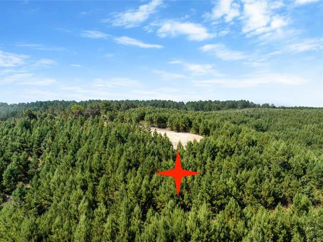Land for sale in Broken Bow, Oklahoma