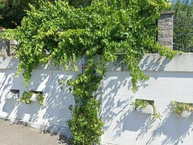Apartment mieten in Schaufel, Marbach an der Donau
