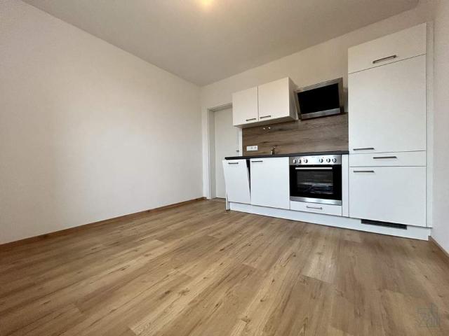 Wohnung mieten in Katastralgemeinde Graz Stadt-Weinitzen, Graz