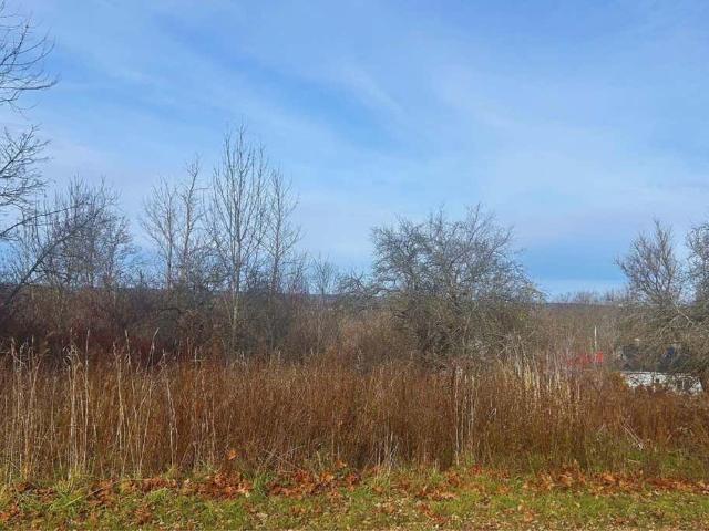 Land for sale in Colchester, Nova Scotia