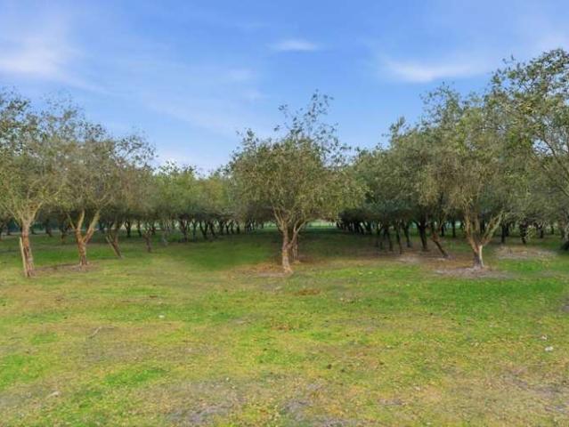 Property for sale in Ohoka, Canterbury