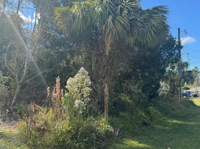 Land for sale in Palm Coast, Florida