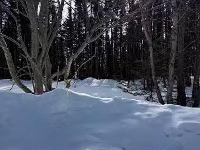 House for sale in Parson's Pond, Newfoundland