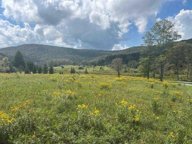 Land for sale in Davis, Tucker County