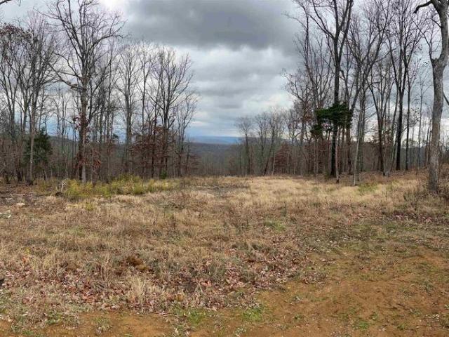 Land for sale in Owens Cross Roads Land for sale in Owens Cross Roads