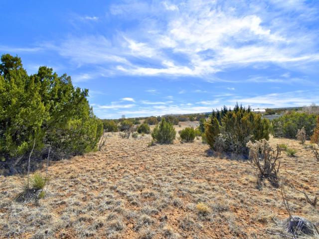 Land for sale in Edgewood, Santa Fe County