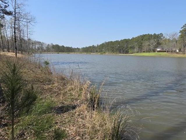 Land for sale in Centre, Alabama