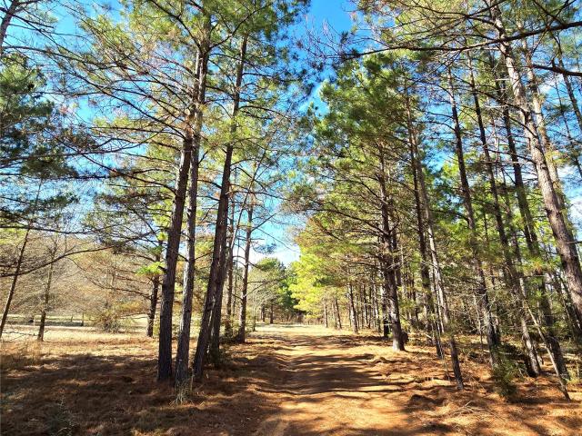 Farm for sale in Grapeland, Texas