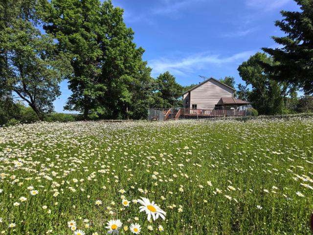 House for sale in Minnesota