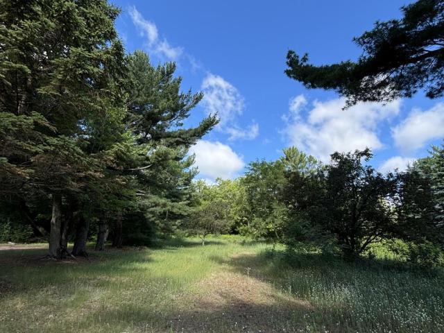 Land for sale in North Branch, Minnesota