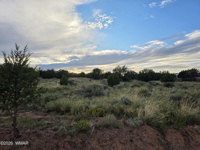 Land for sale in Navajo, Arizona