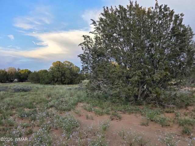 Land for sale in Navajo, Arizona