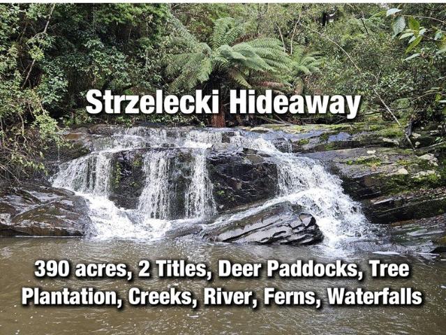 Cottage for sale in Grand Ridge, Victoria