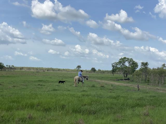 Property for sale in Mount Bundey, Northern Territory