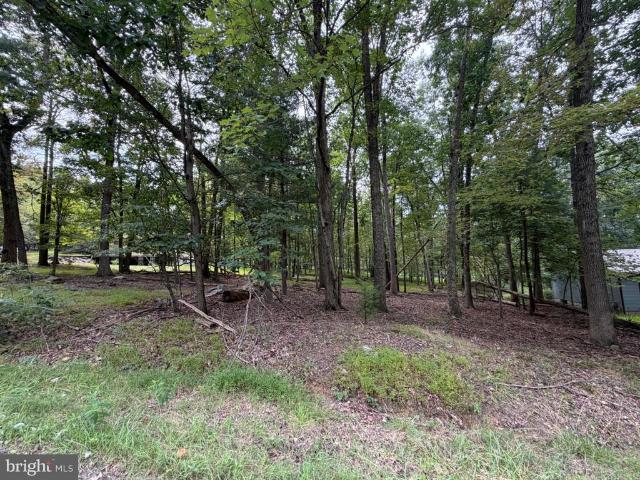 Land for sale in Wayne Township, Schuylkill County