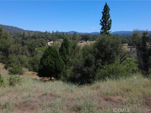 Land for sale in Butte, California