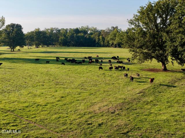 Land for sale in Weir, Choctaw County
