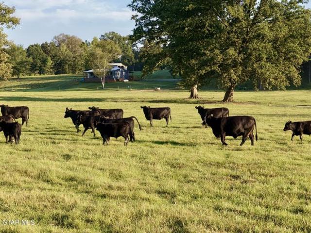 Land for sale in Weir, Choctaw County