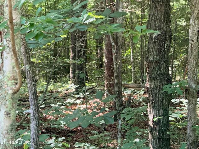 Land for sale in Tennessee