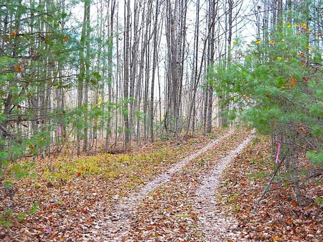 Land for sale in Jumping Branch, West Virginia