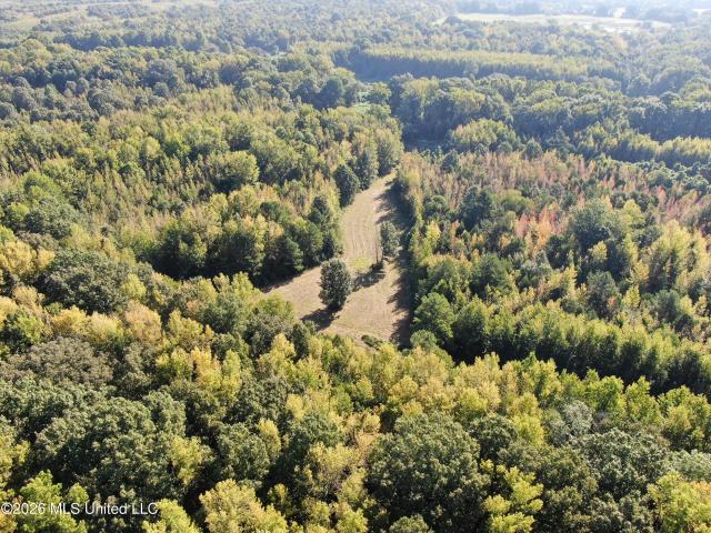 Land for sale in Sardis, Mississippi
