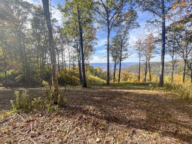 Land for sale in Tennessee