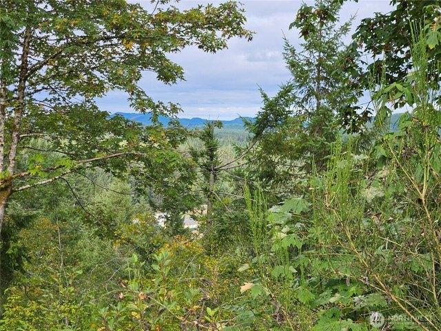 Land for sale in Elma, Washington