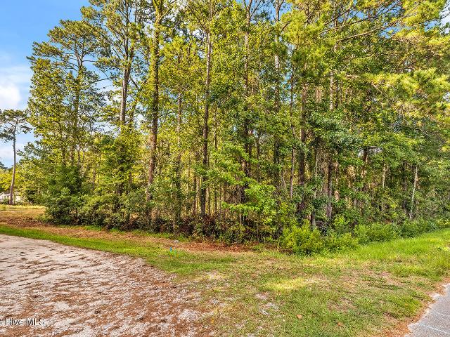 Land for sale in Shallotte, Brunswick County