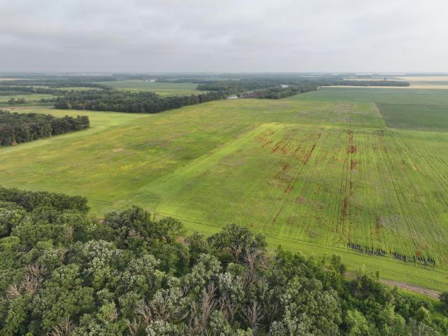 Land for sale in Stephen, Minnesota