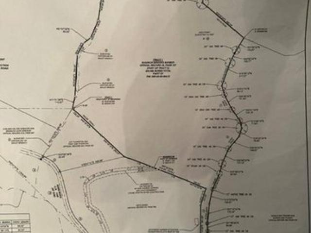 Land for sale in Olive Hill, Kentucky