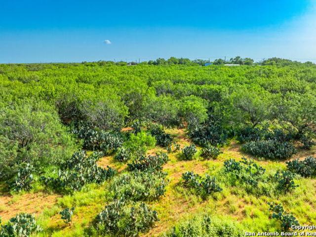 Farm for sale in Pearsall, Texas