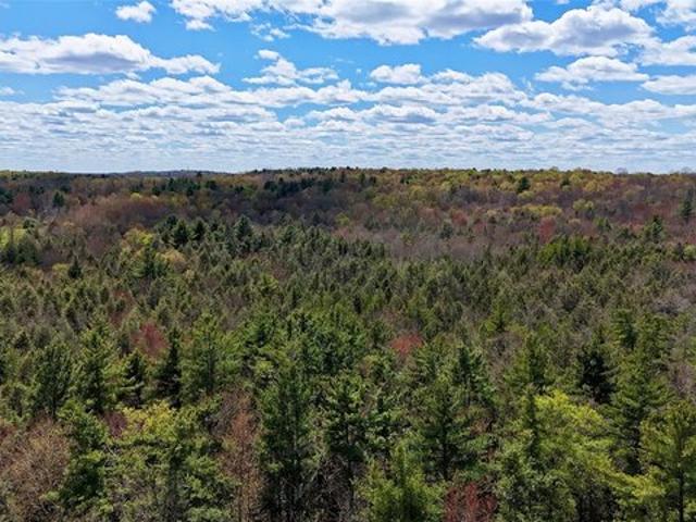 Land for sale in Claryville, New York