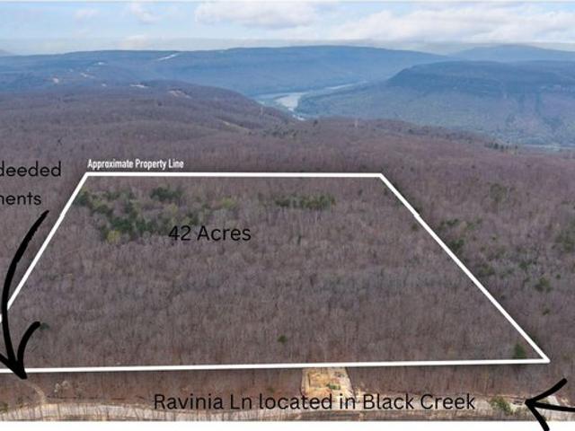 Land for sale in Chattanooga, East Tennessee