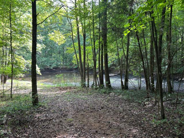 Land for sale in Efland, North Carolina