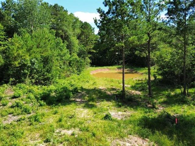 Land for sale in Timpson, Shelby County