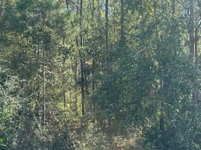 Land for sale in Gulf, Florida