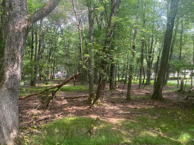 Land for sale in Sun Valley, Chestnuthill Township