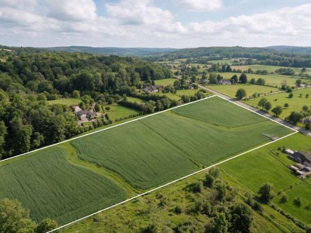 Property for sale in Manawatu District