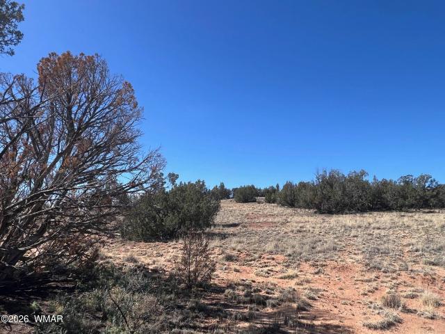 Land for sale in Navajo, Arizona