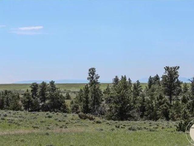 Land for sale in Molt, Montana